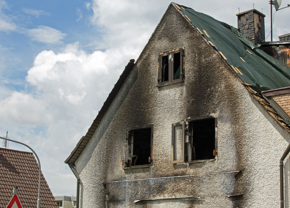 Home Decor and Garden